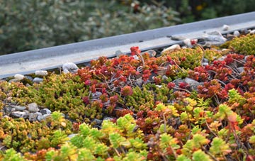 the cost of Belchalwell Street green roof installation