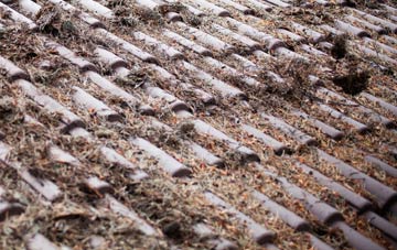 Belchalwell Street roof cleaning companies