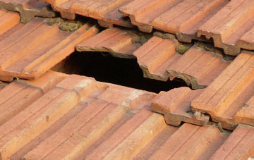 roof repair Belchalwell Street, Dorset