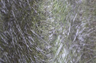 Belchalwell Street fibreglass roof work